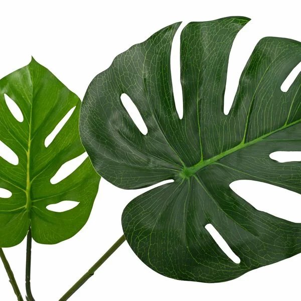 Dirbtinis Monstera augalas namų interjere
