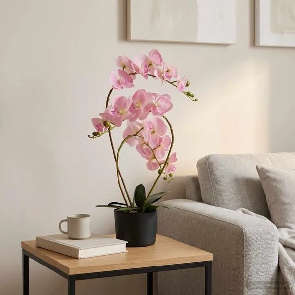 Rožinės spalvos dirbtinė orchidėja su vazonu