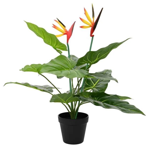 Tikroviškas dirbtinis Strelitzia augalas žaliais lapais